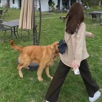 阿卡普高第四季